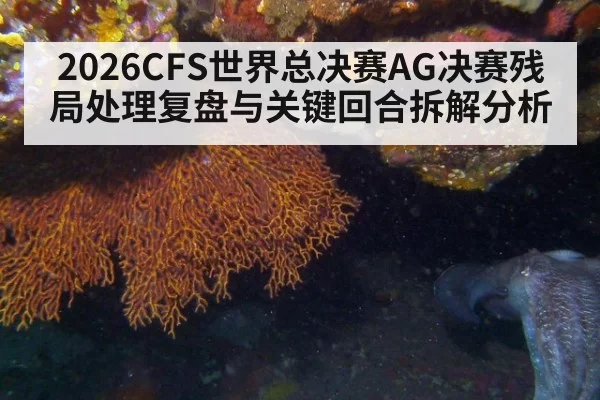 2026CFS世界总决赛AG决赛残局处理复盘与关键回合拆解分析